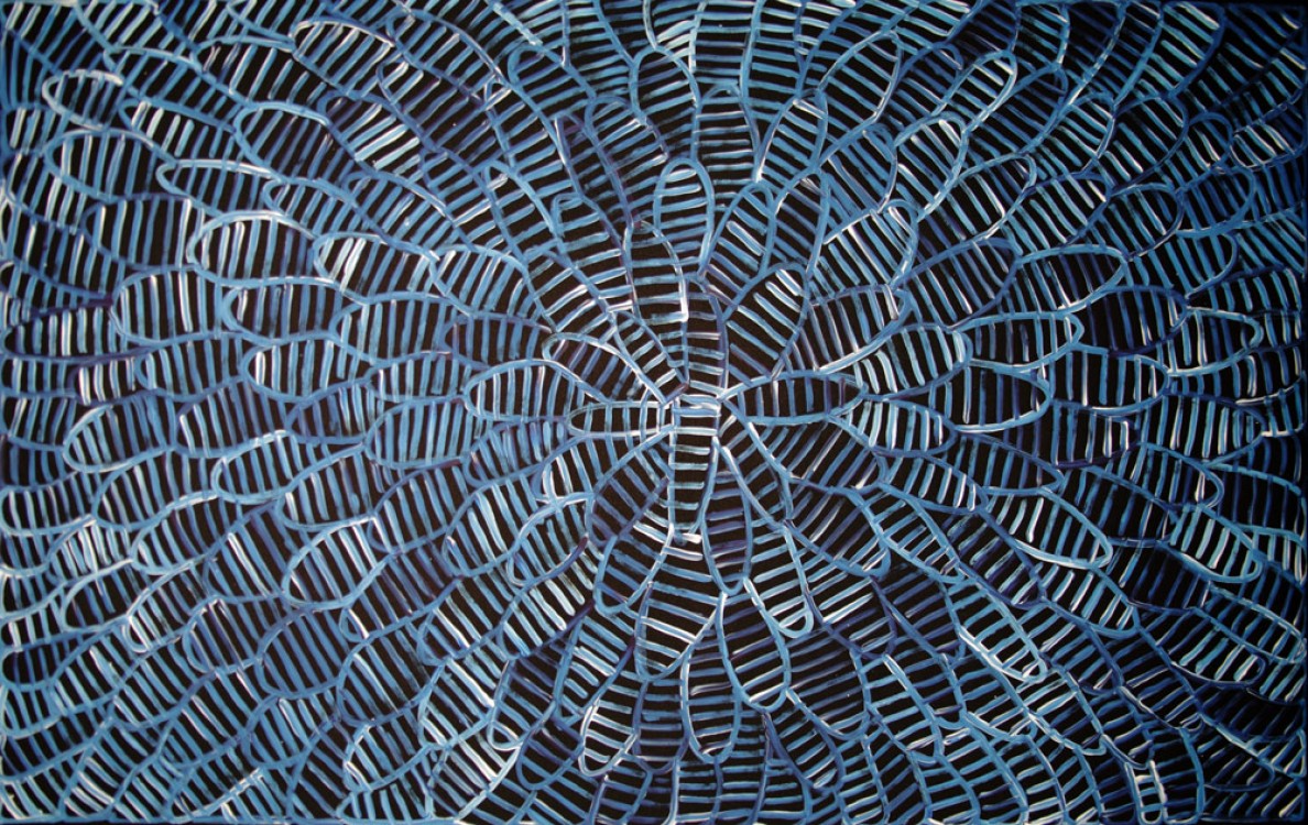 Aboriginal Art Painting By Mary Rumble Pitjara Awelye Body