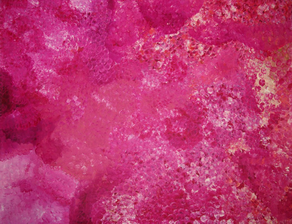 Polly Ngale Bush Plum Dreaming Australian Aboriginal Art Painting on canvas PN1761