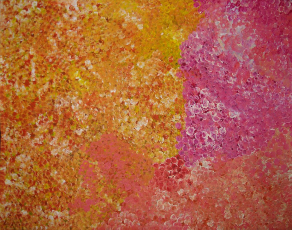Polly Ngale Bush Plum Dreaming Australian Aboriginal Art Painting on canvas PN1762