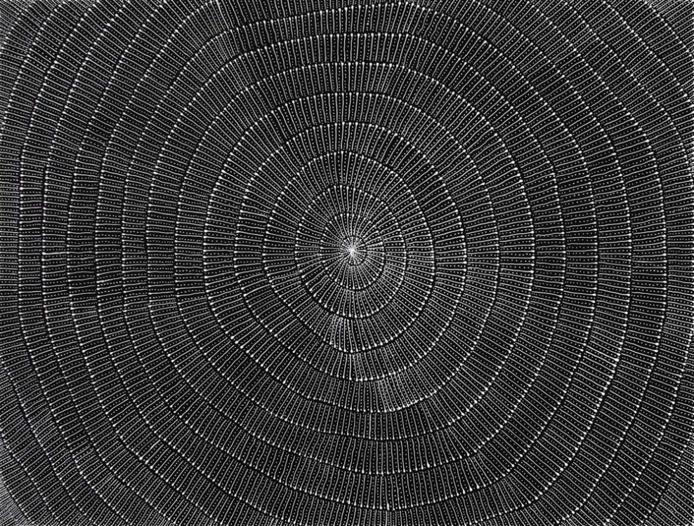 Mary Rumble Pitjara Kangaroo Dreaming Australian Aboriginal Art Painting on canvas MR1950