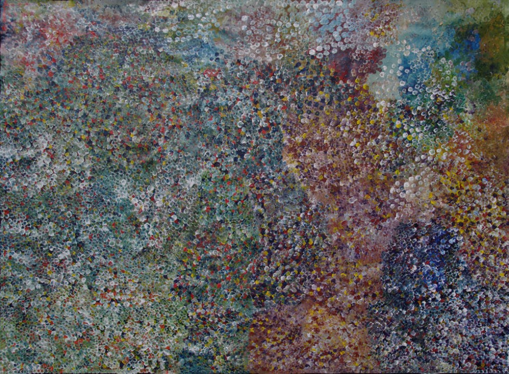 Polly Ngale Bush Plum Dreaming Australian Aboriginal Art Painting on canvas PN1931