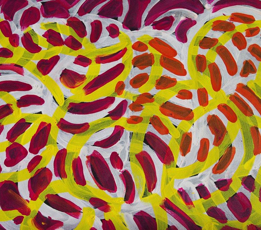 Aboriginal Art Painting on canvas by Jeannie Petyarre Bush Yam Flowers JP1667