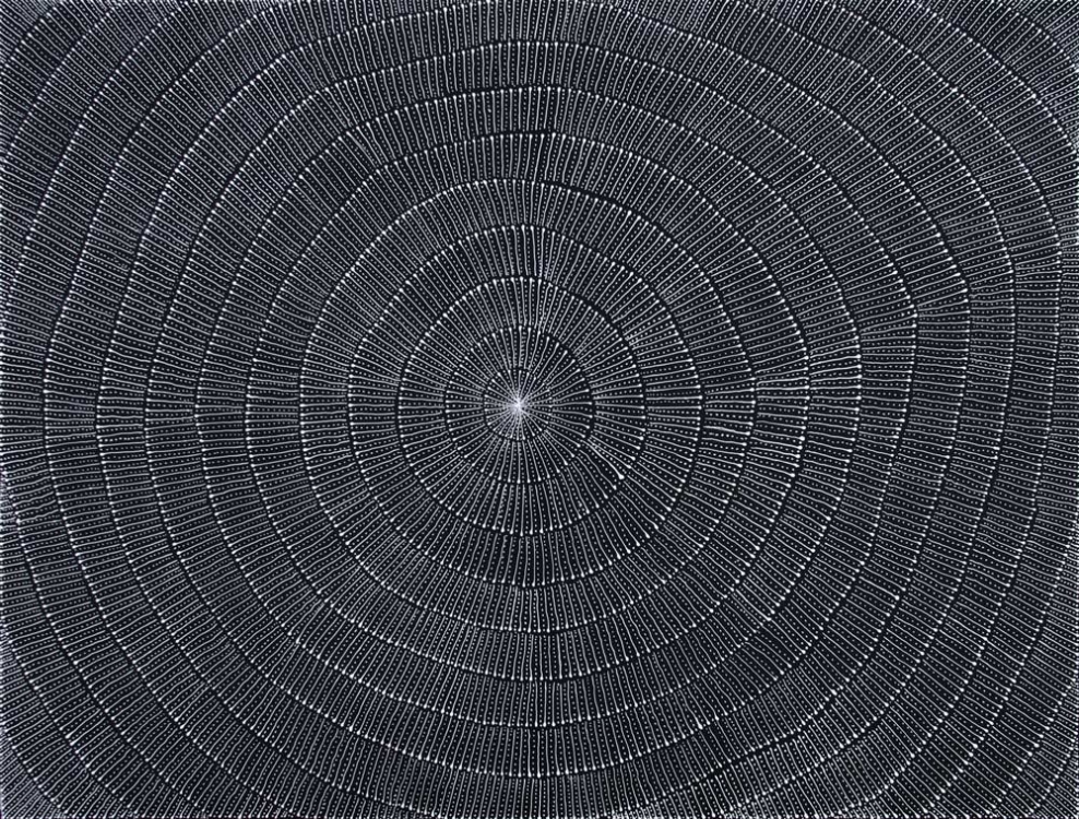 Mary Rumble Pitjara Kangaroo Dreaming Australian Aboriginal Art Painting on canvas MR1951