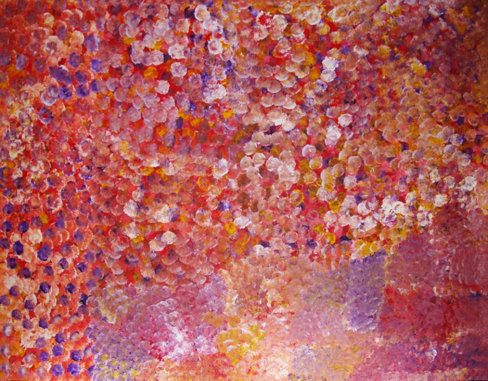 Polly Ngale Bush Plum Dreaming Australian Aboriginal Art Painting on canvas PN1654