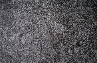 BUSH YAM SEEDS JP1870