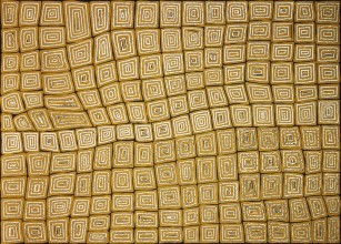 TINGARI CYCLE TT1751