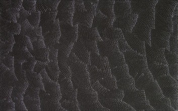 TALI - SAND HILLS LK1906