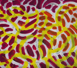 Aboriginal Art Painting on canvas by Jeannie Petyarre Bush Yam Flowers JP1667